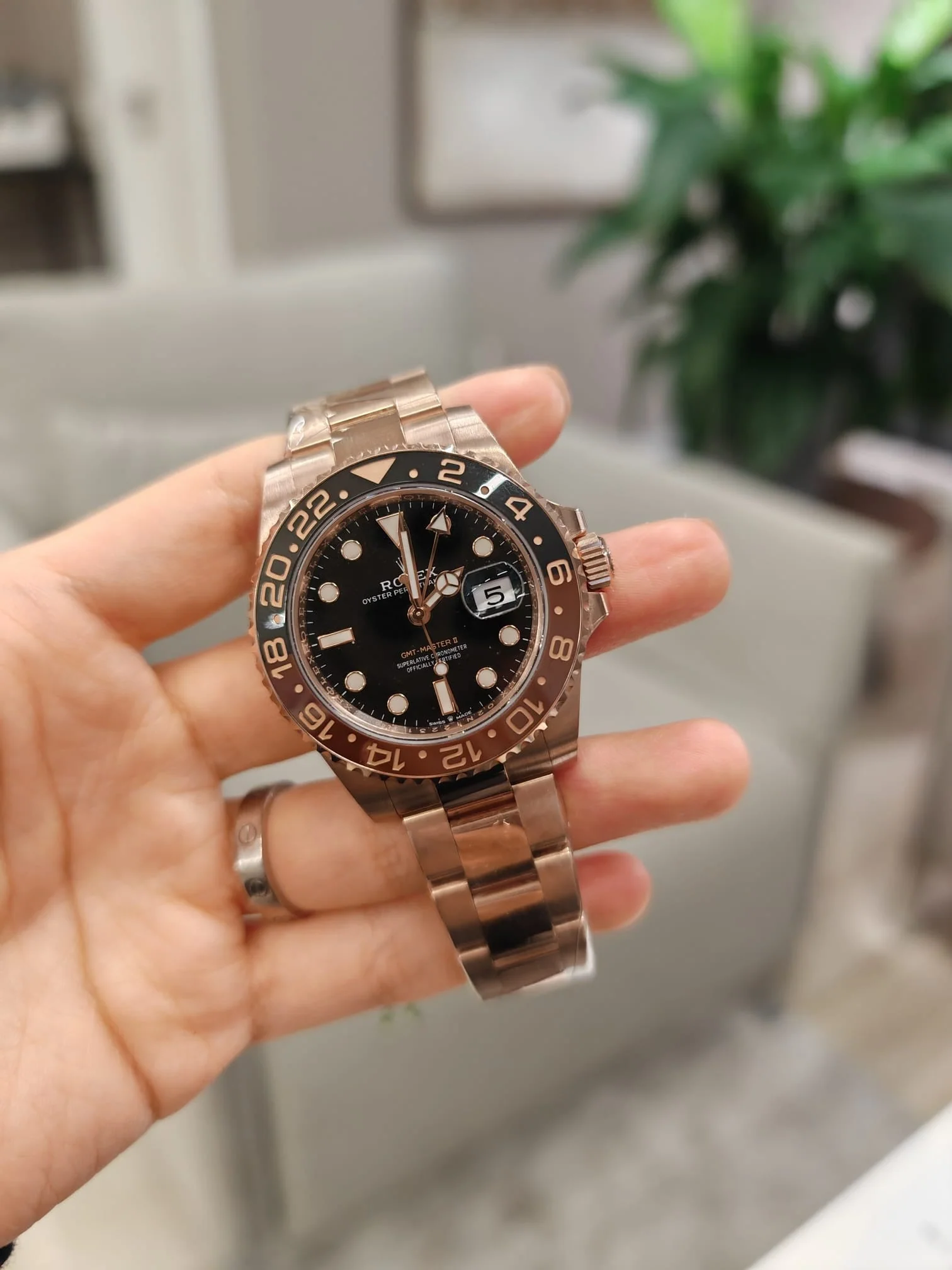 Rolex GMT-Master II 40 126715CHNR 2024 - Image 5
