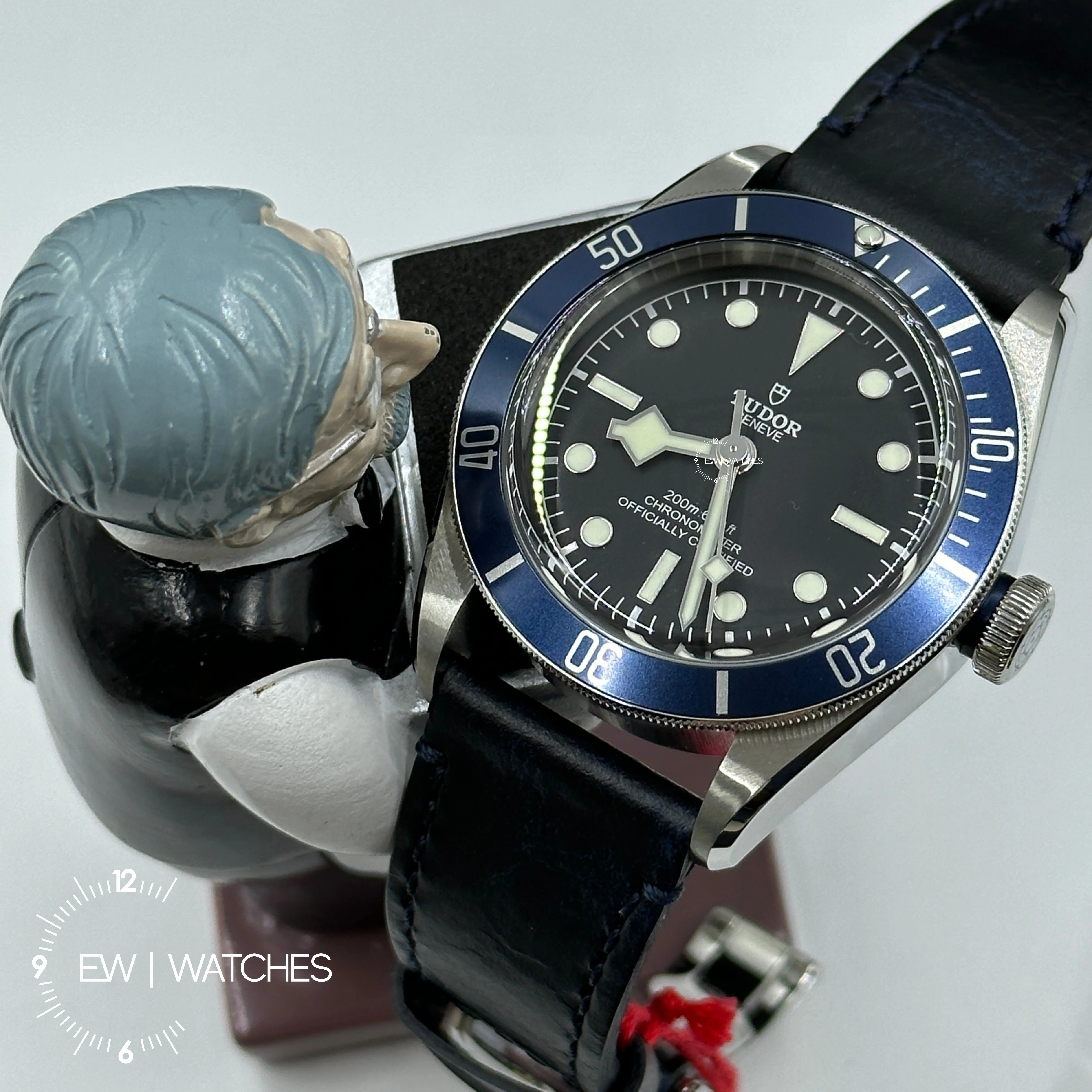 Tudor Black Bay 41mm 79230B-0007 Blue Leather 2024 - Image 12